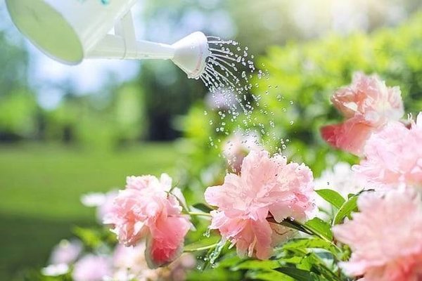 Les indispensables de votre cabanon : découvrez notre offre complète d'outils de jardinage