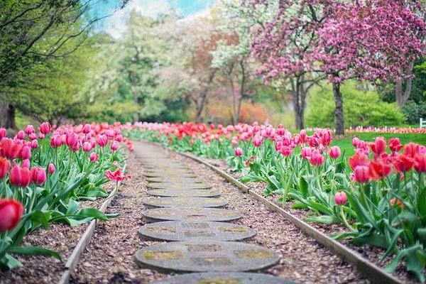 10 astuces pour aménager son jardin à moindre coût