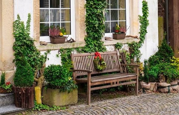 Guide complet pour profiter des meilleures promotions sur les plantes d'extérieur